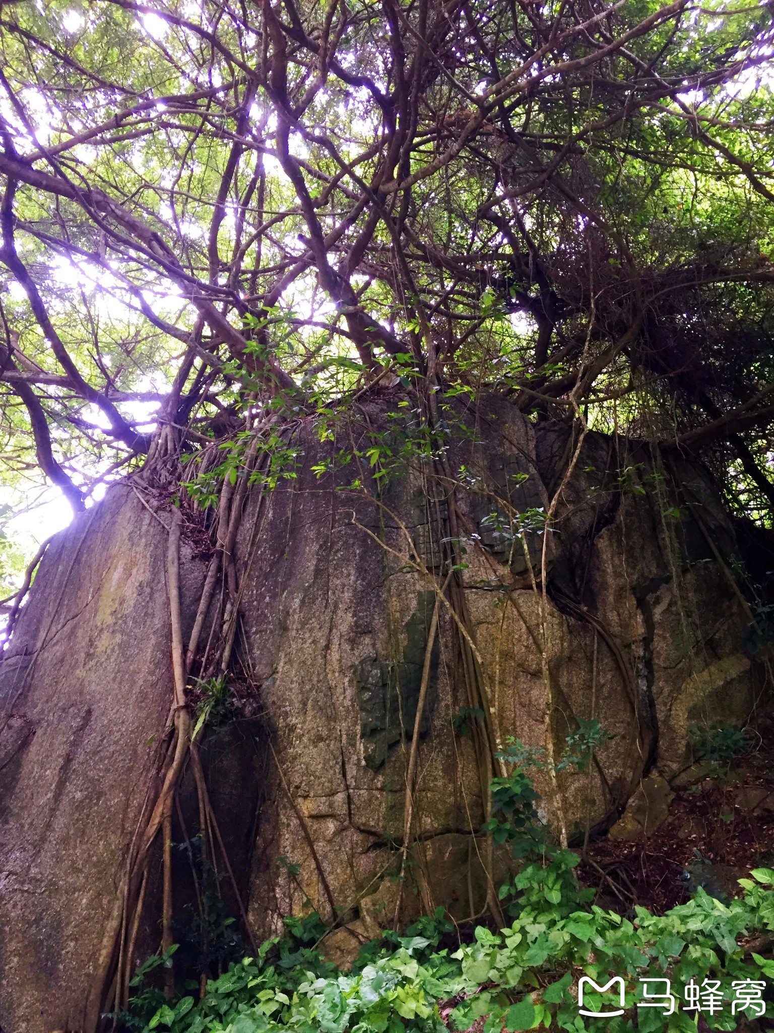 三亞自助遊攻略