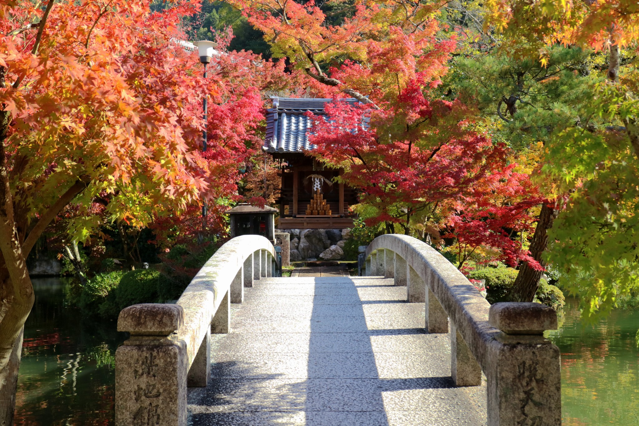 京都自助遊攻略