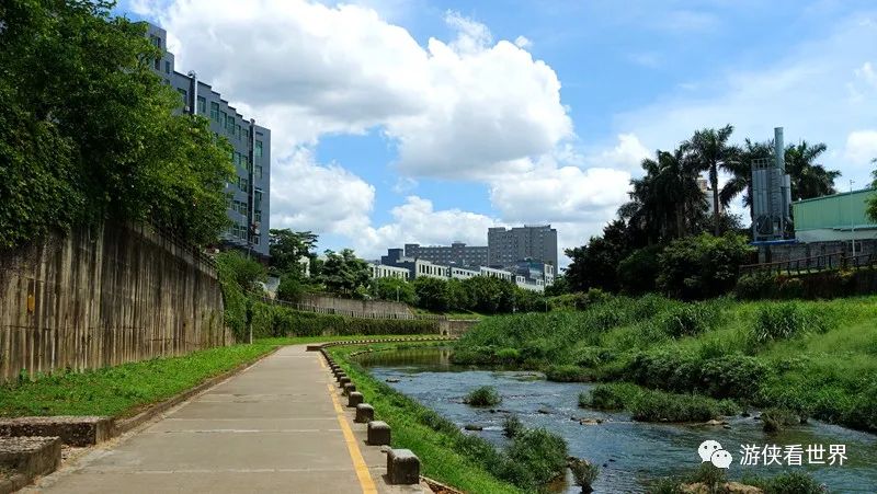 深圳龍崗河綠道徒步龍園到愛聯