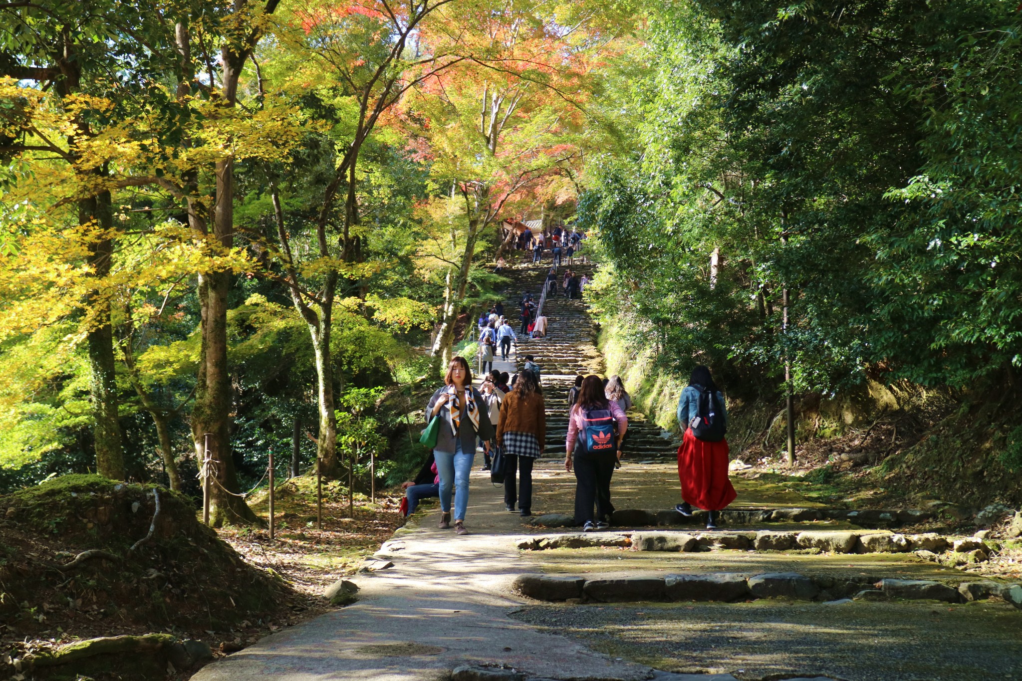 京都自助遊攻略