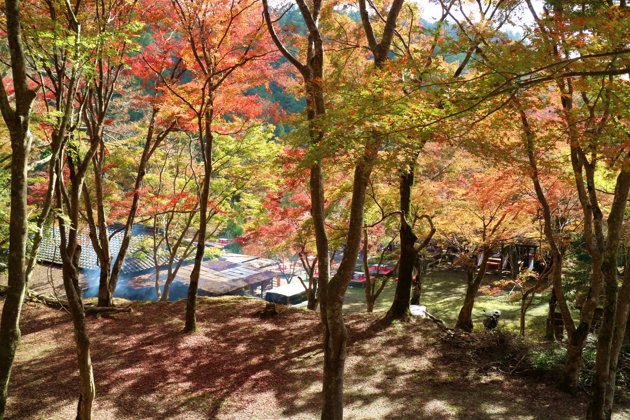 京都自助遊攻略