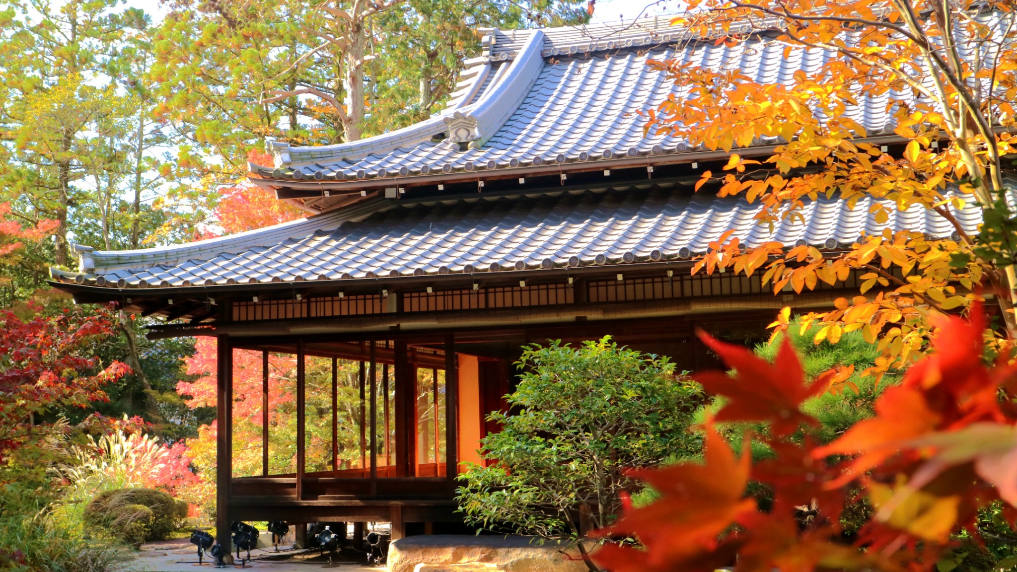 京都自助遊攻略