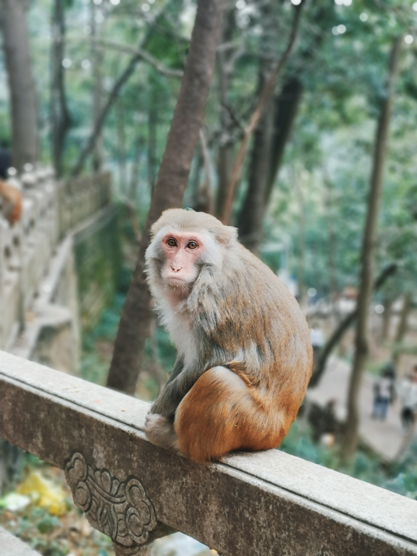 旅行图片