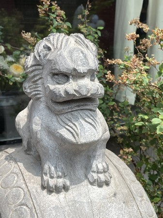 cedric lomre旅游图片,cedric lomre自助游图片,cedric lomre旅游景点