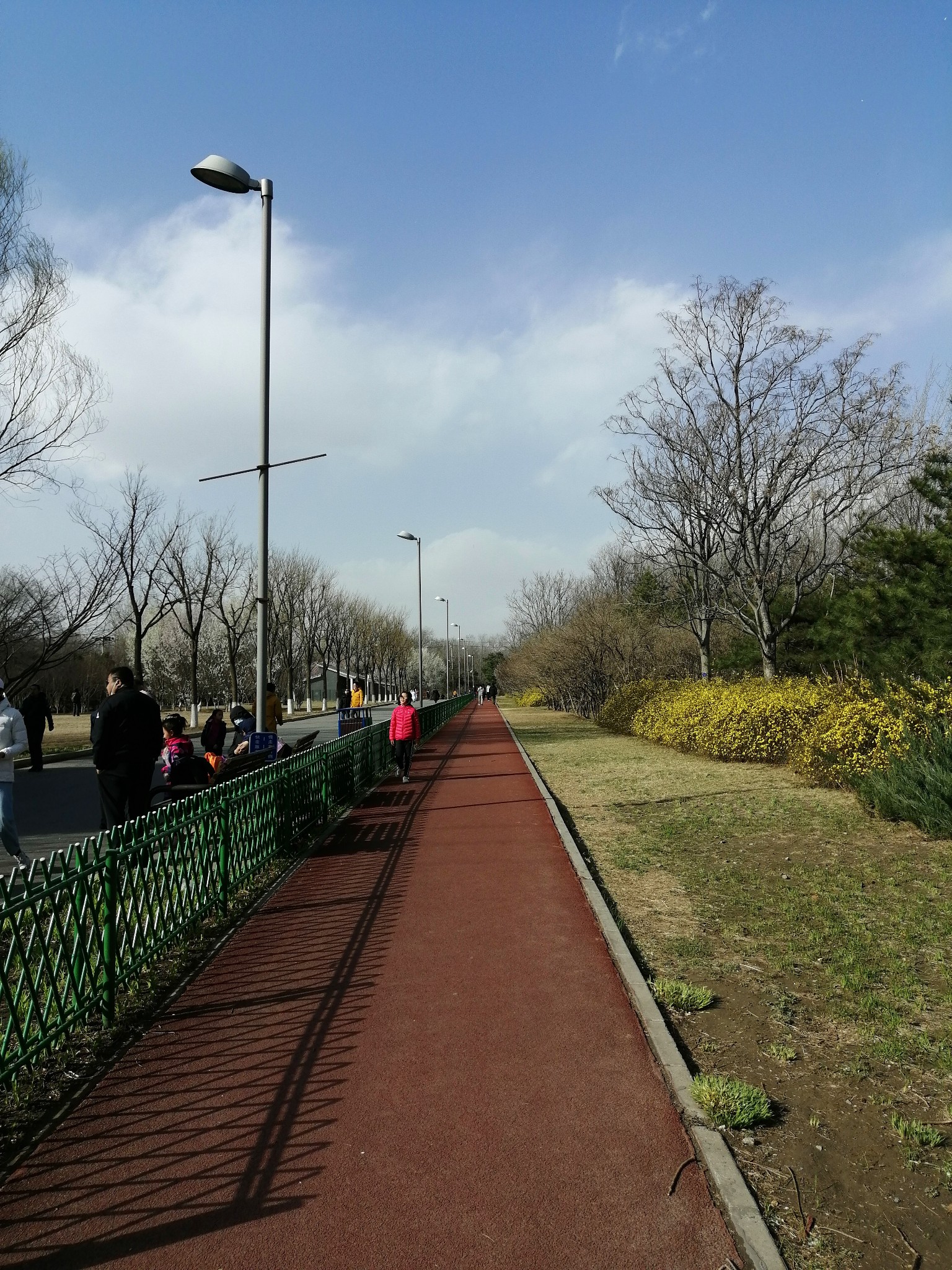 奧林匹克森林公園隨筆,北京旅遊攻略 - 馬蜂窩