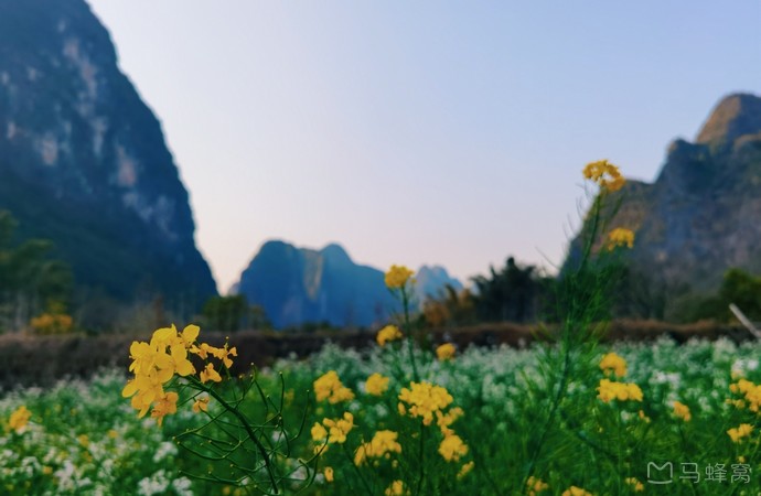全家洲旅游图片,全家洲自助游图片,全家洲旅游景点照片 - 马蜂窝图库