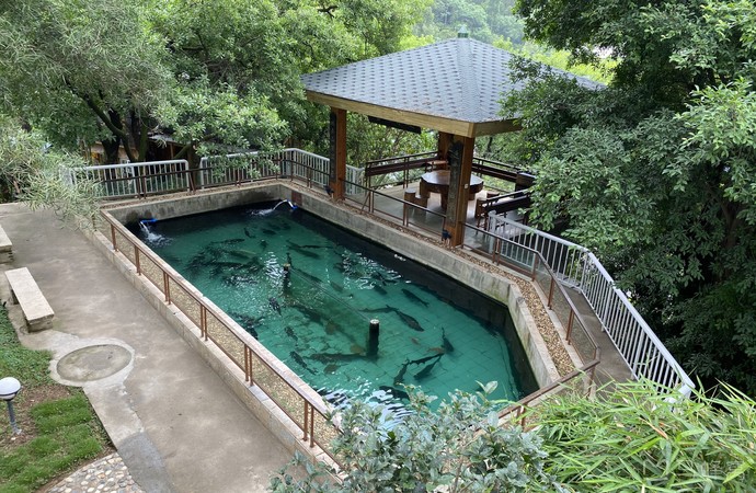近水楼台文化农庄旅游图片,近水楼台文化农庄自助游图片,近水楼台文化
