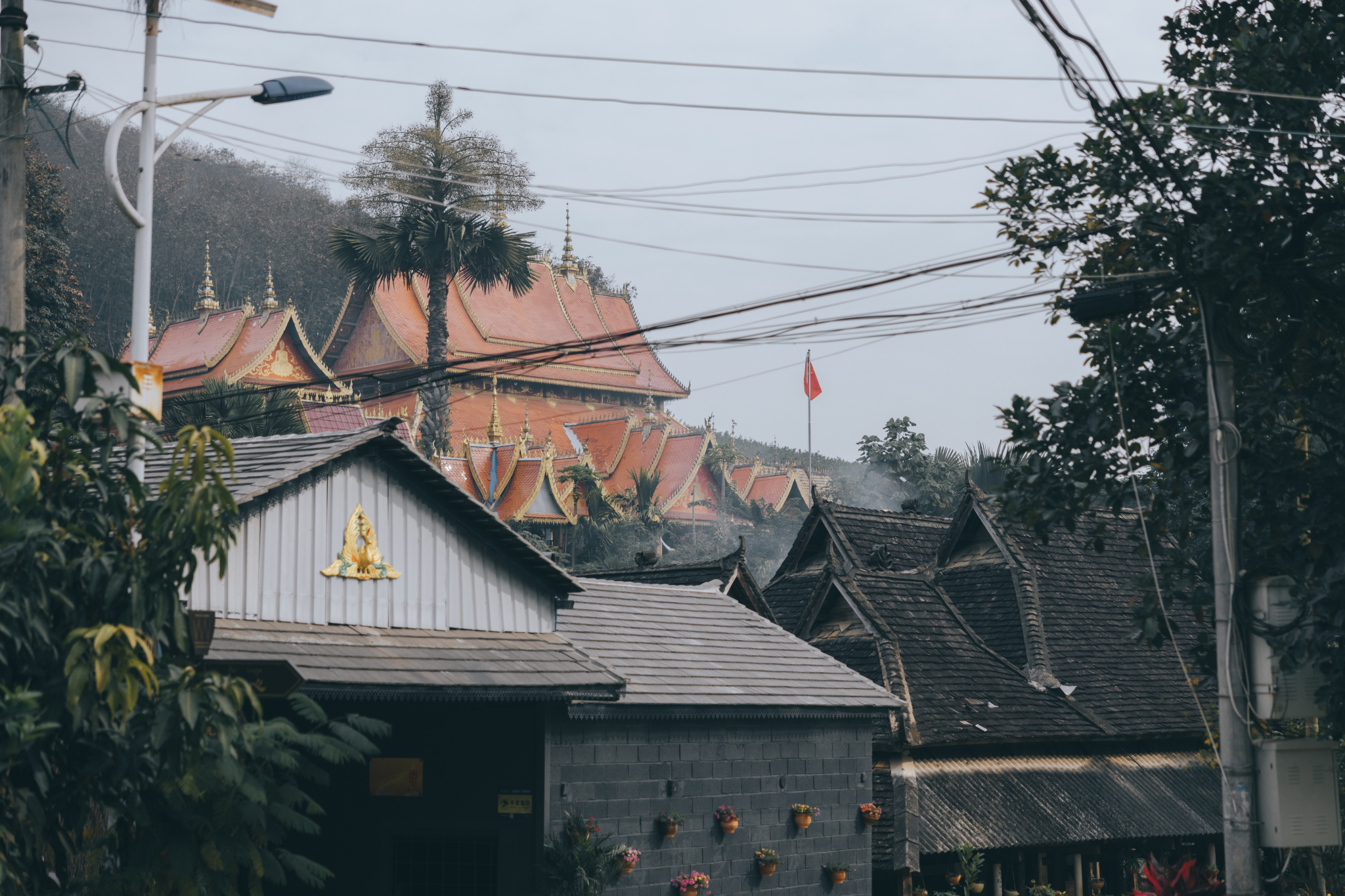 在版納遇見東南亞,與雨林,溪水,雲朵,生靈來一場靈魂對話