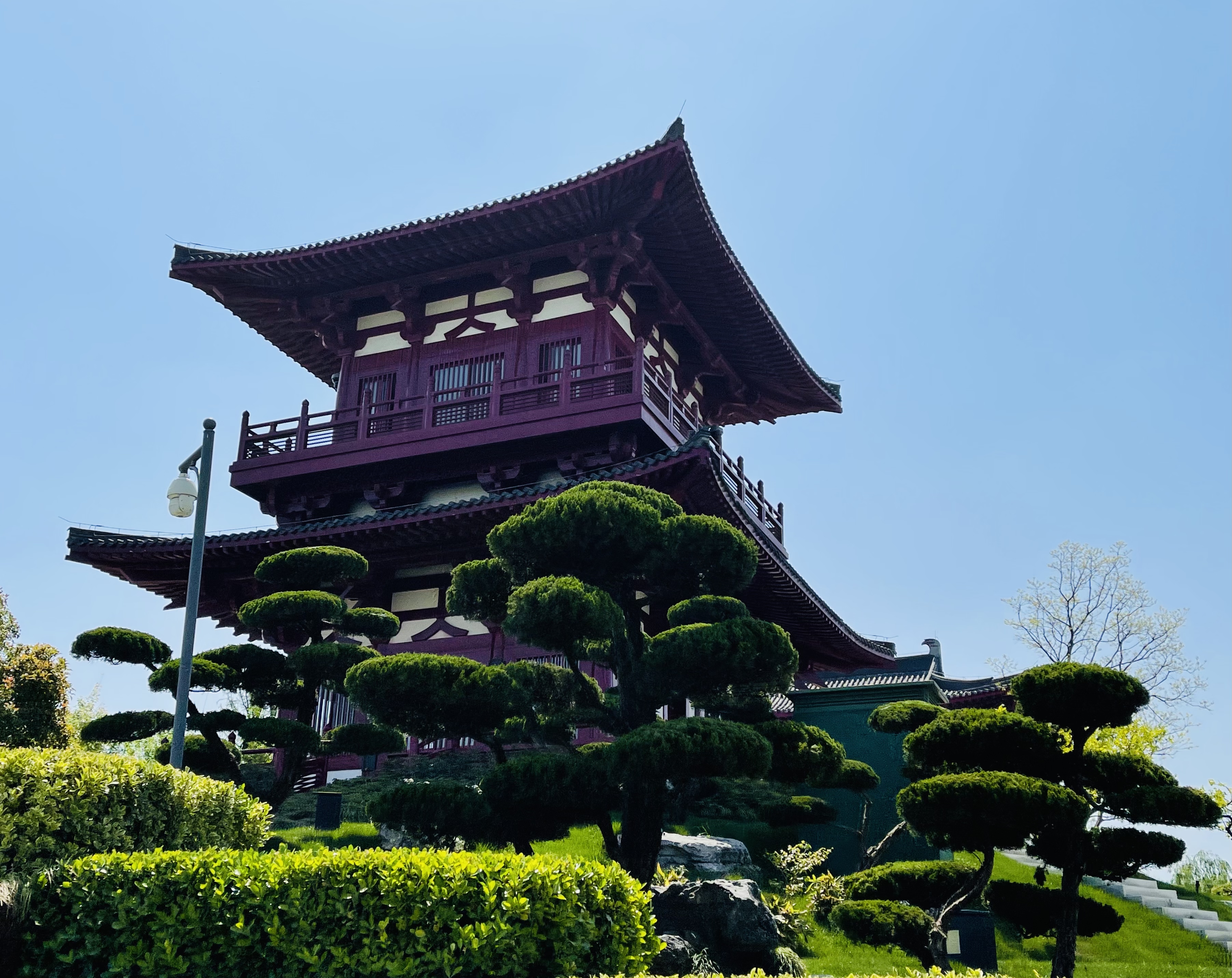 2021年扬州世界园艺博览会世园会一日门票送卡通扇从3号门进上午8点