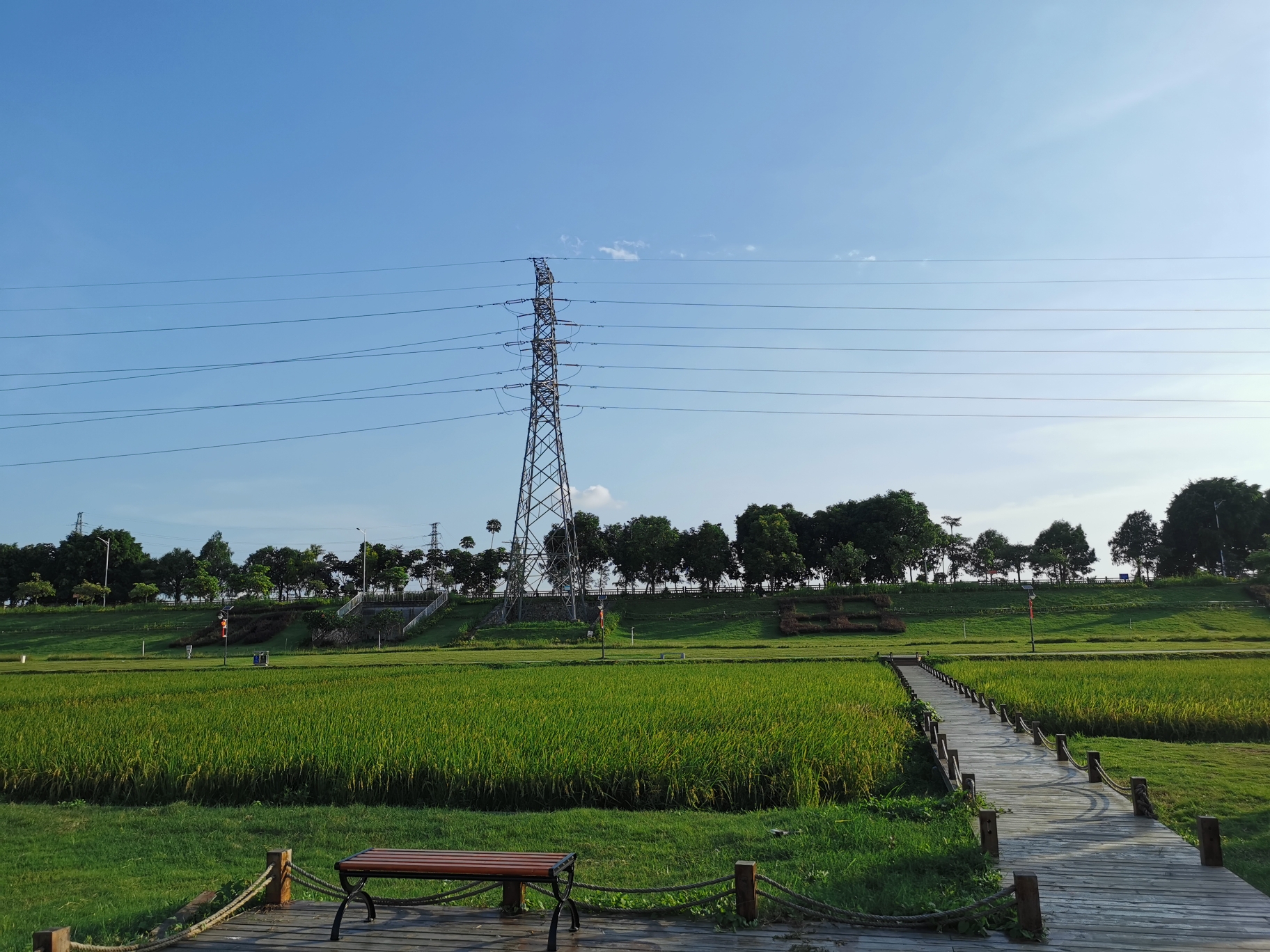 东莞市上元稻田公园