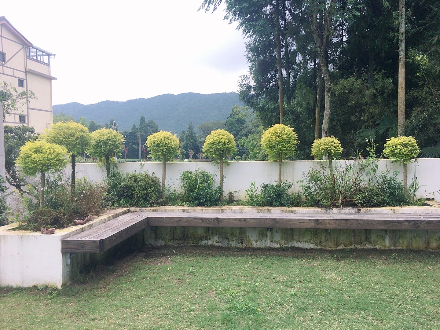 14-8.15泰顺沐云·芸苔民宿行