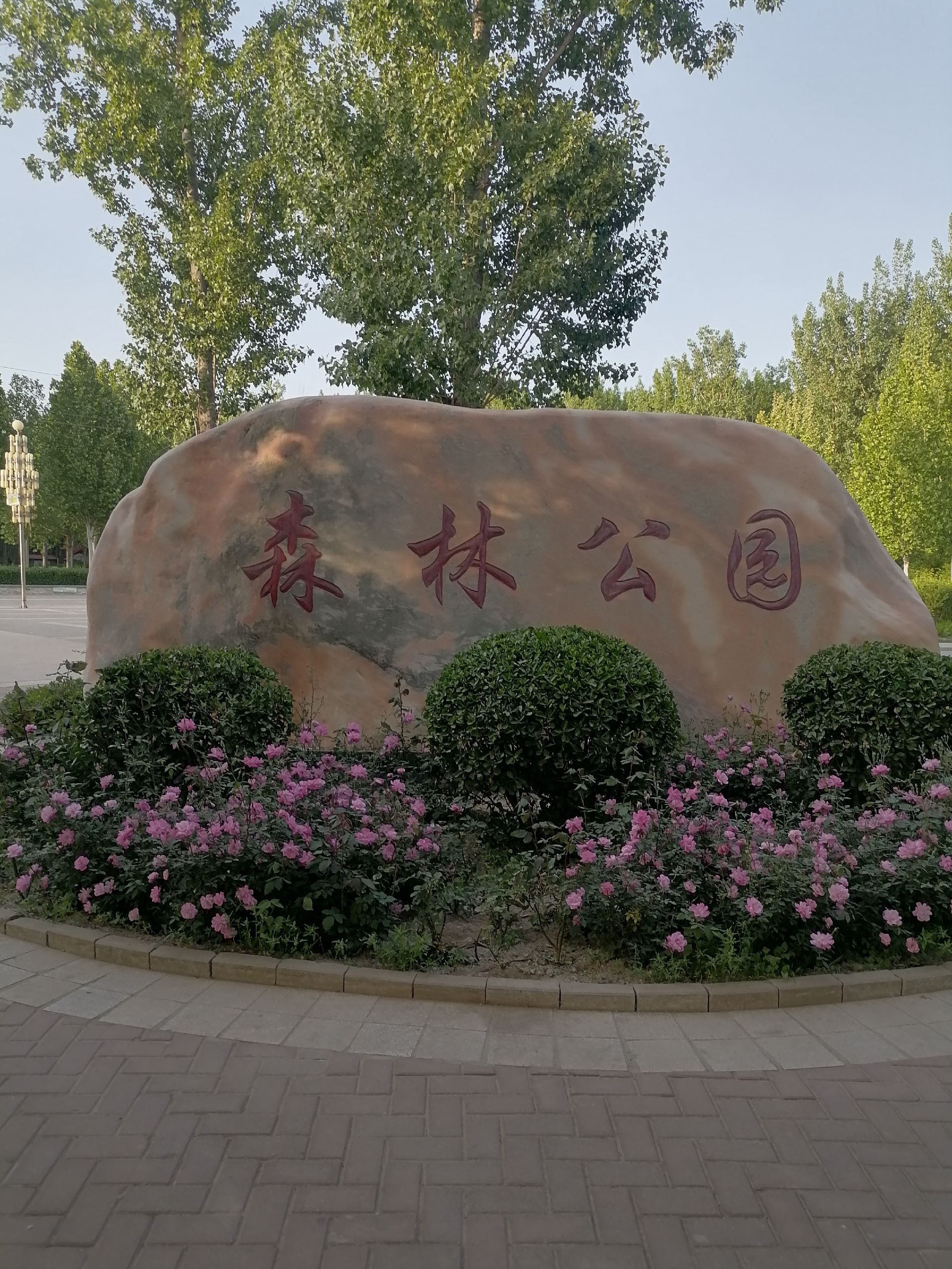文安图片,文安旅游景点照片 - 马蜂窝