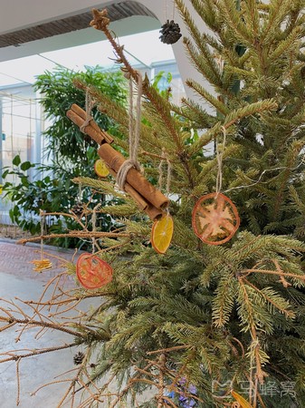 cyber plants旅游图片,cyber plants自助游图片,cyber plants旅游景点