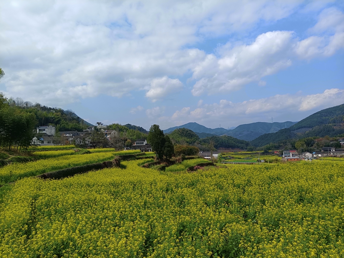 春暖花开出门浪