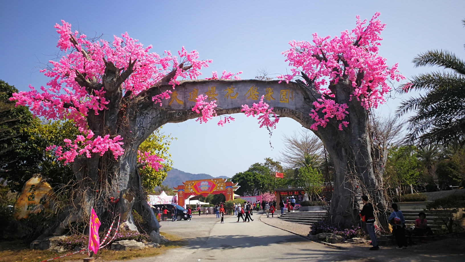 广州过年羊城看花年初八游从化天适樱花悠乐园美