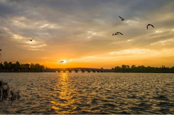 告别焦虑!来靖江乡村享受向往的生活