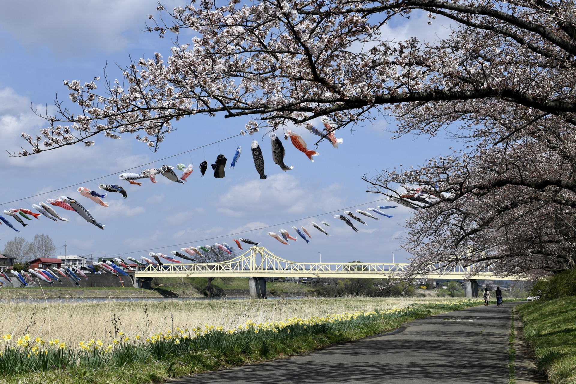 日本自助遊攻略