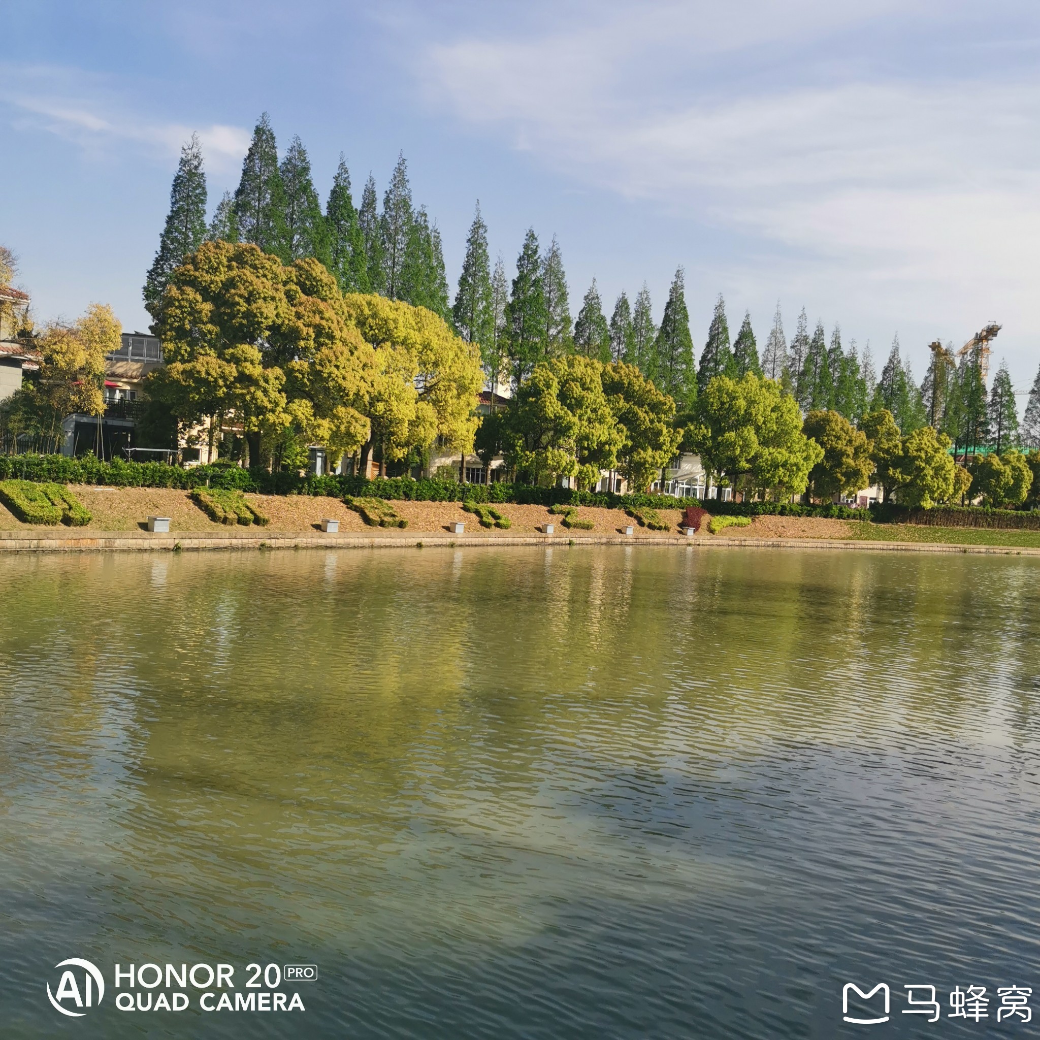 嘉定浏岛嘉定州桥老街嘉定紫藤园