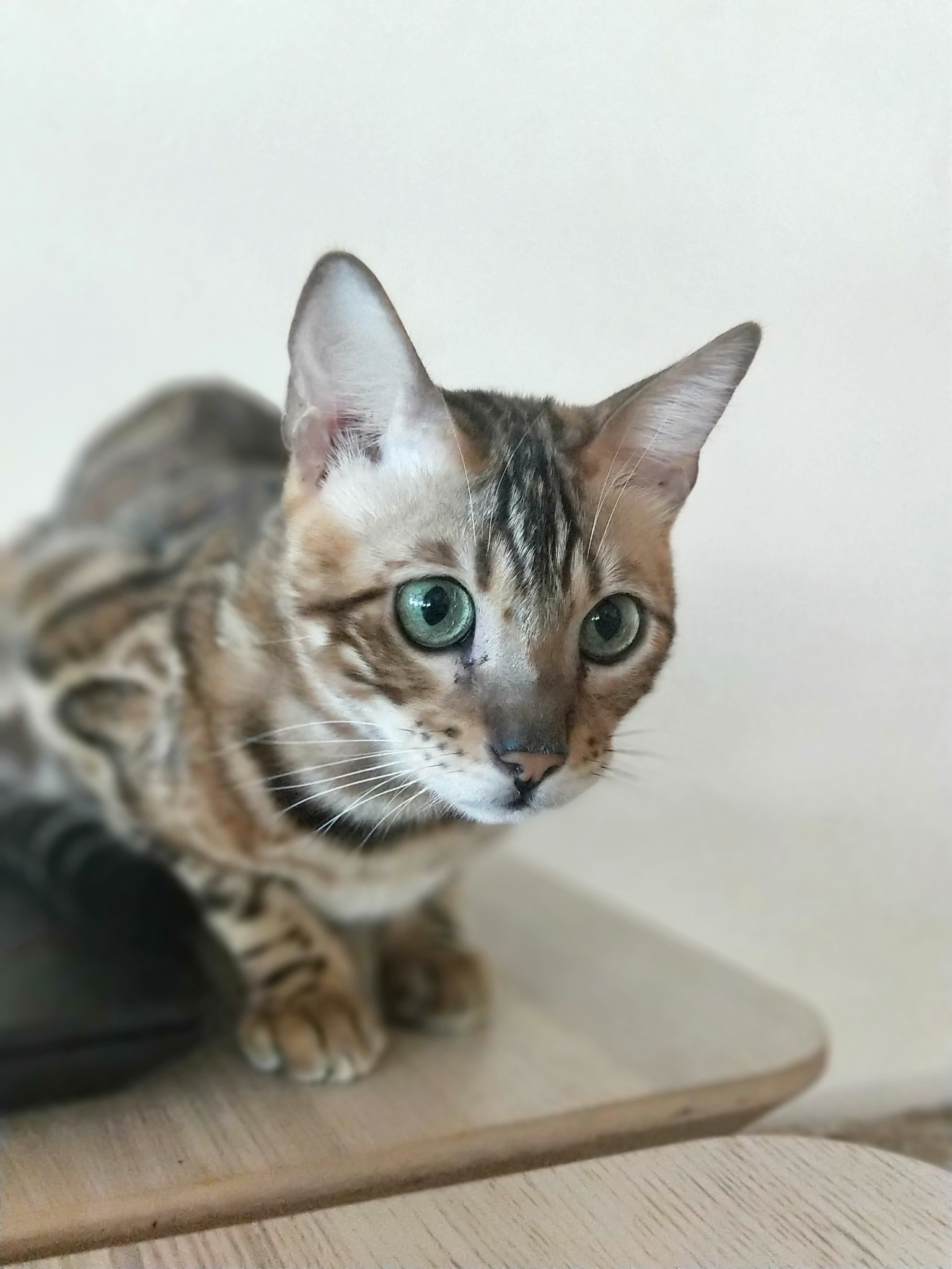 【小米的旅行日记】-----人生的第一座海·普吉岛