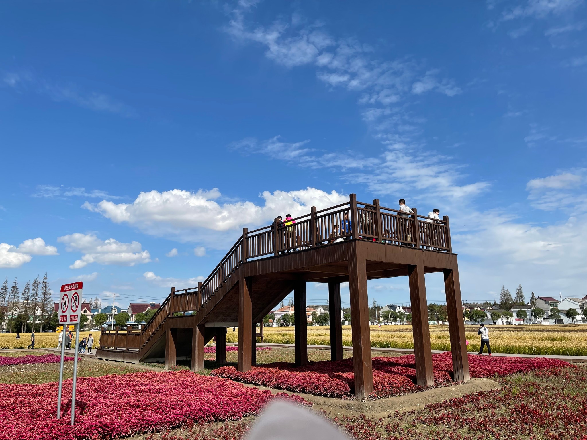 合慶郊野公園,上海自助遊攻略 - 馬蜂窩