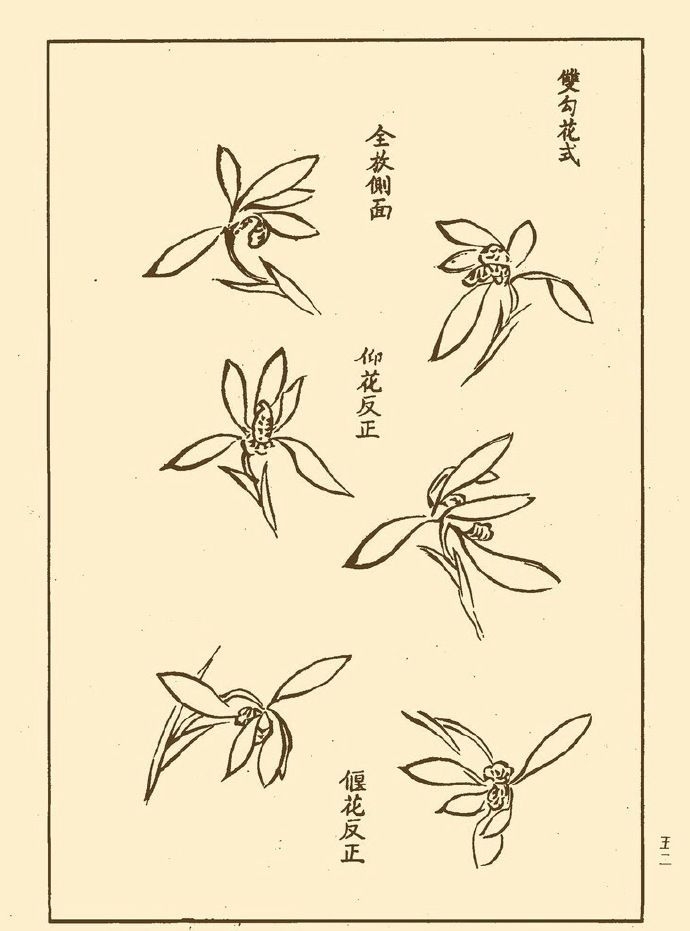 学习绘画之路一
