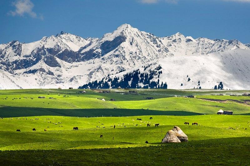 新疆旅遊·一程山水·伊犁 獨山子大峽谷 賽里木湖 那拉提雙草原 巴音