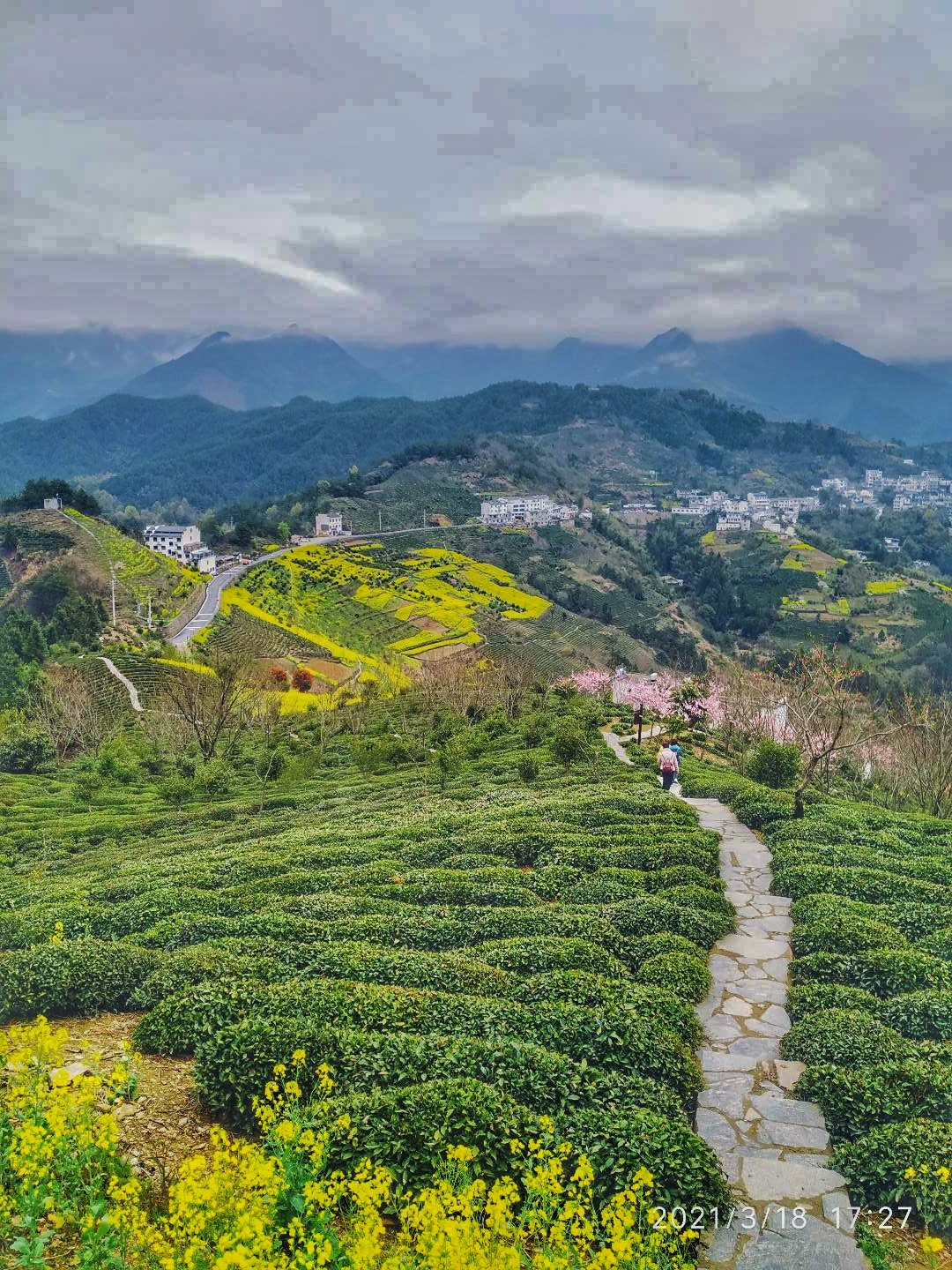 3月游皖南歙县大洲源秘境;坡山村,蜘蛛肚,新安江山水画廊.