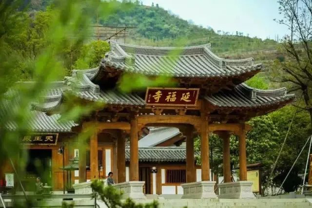 五一自驾来武义我养你今天告诉你怎么养