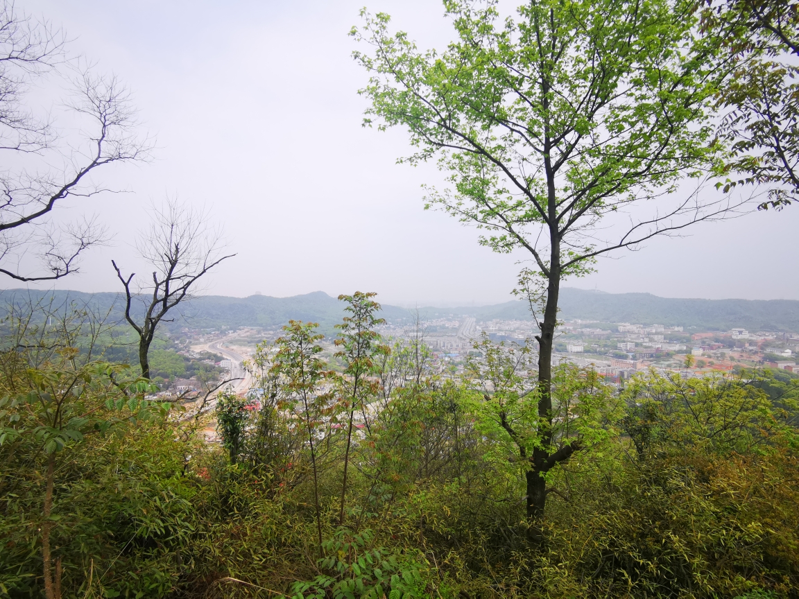 长沙徒步寨子岭,长沙自助游攻略 - 马蜂窝