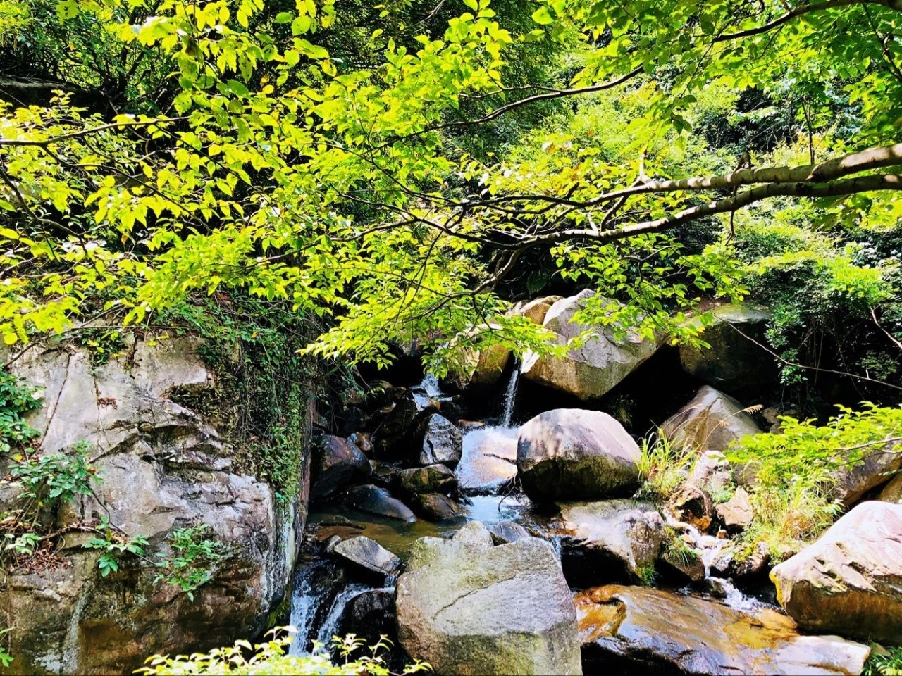 「藥王谷」穿越仙人修煉的秘境,綿陽旅遊攻略 - 馬蜂窩