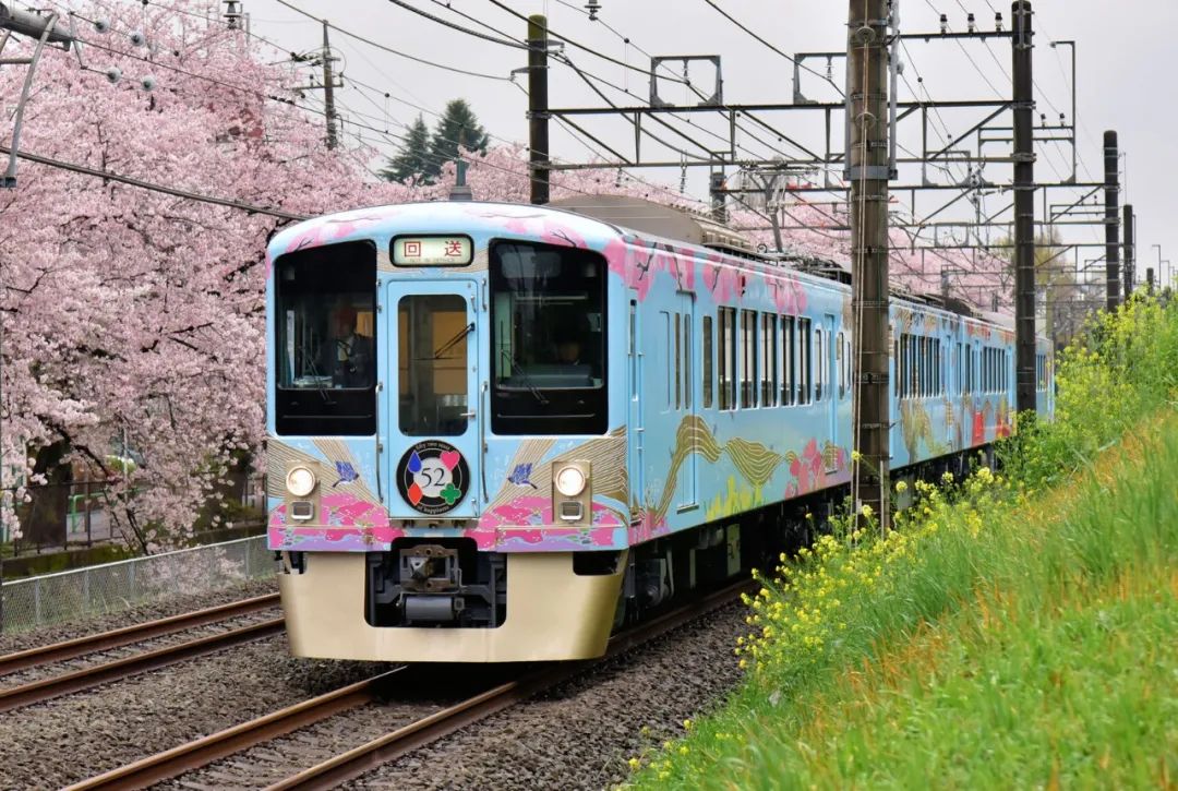 日本观光电车前方到站樱花绚烂的春天