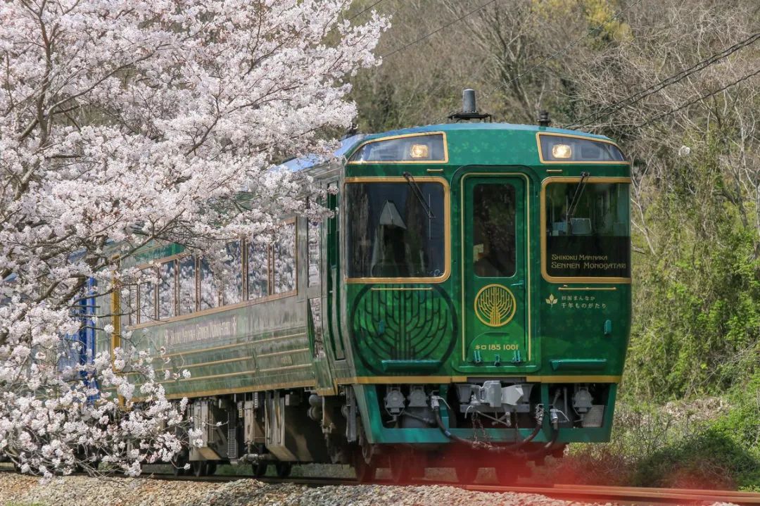 日本观光电车:前方到站,樱花绚烂的春天