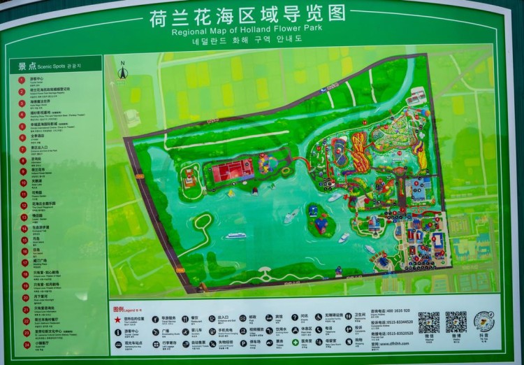 遇见花海遇见浪漫荷兰花海周末游