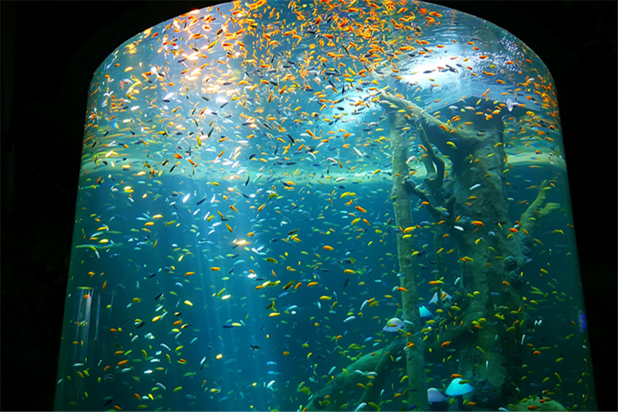 重庆汉海海洋公园一日电子票