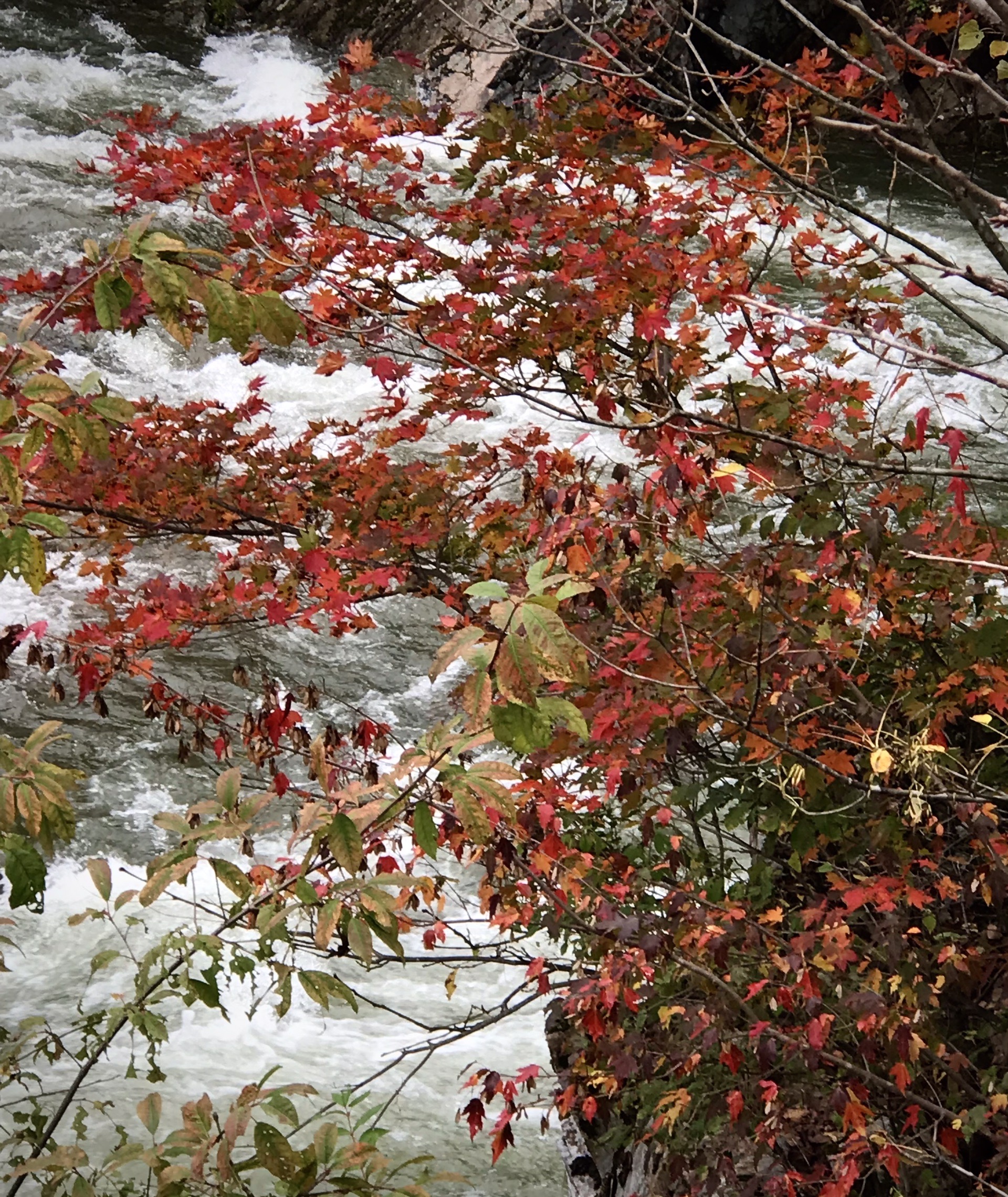 三道湾风景区