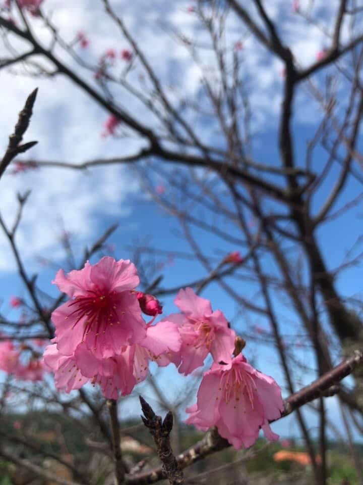 那霸自助遊攻略