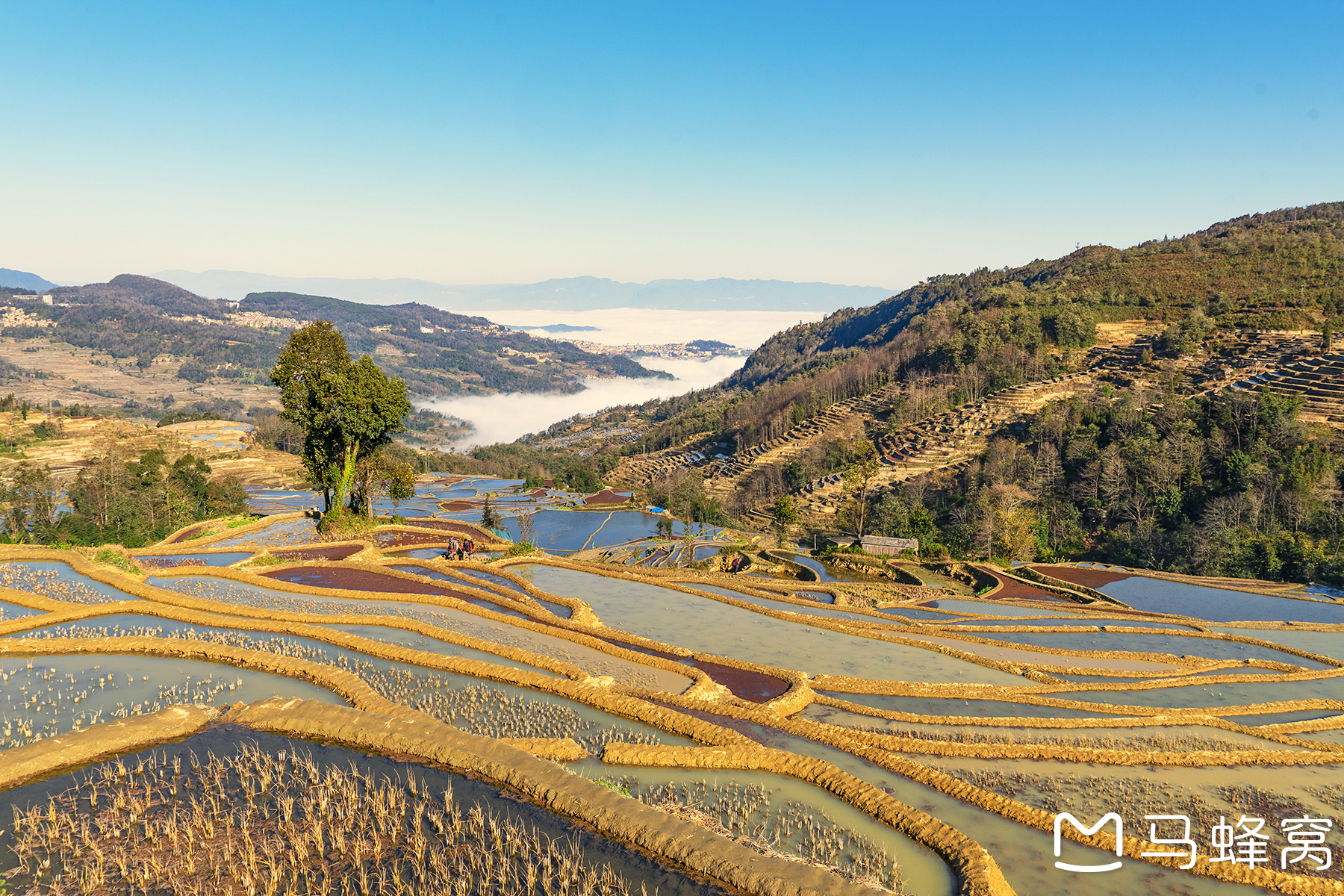 七彩雲南自駕之旅紅河篇 徜徉在夢幻般的元陽哈尼梯田與歷史文化名城