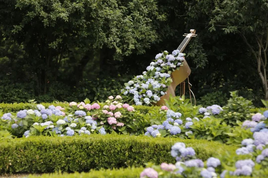 市内赏花去处 马蜂窝