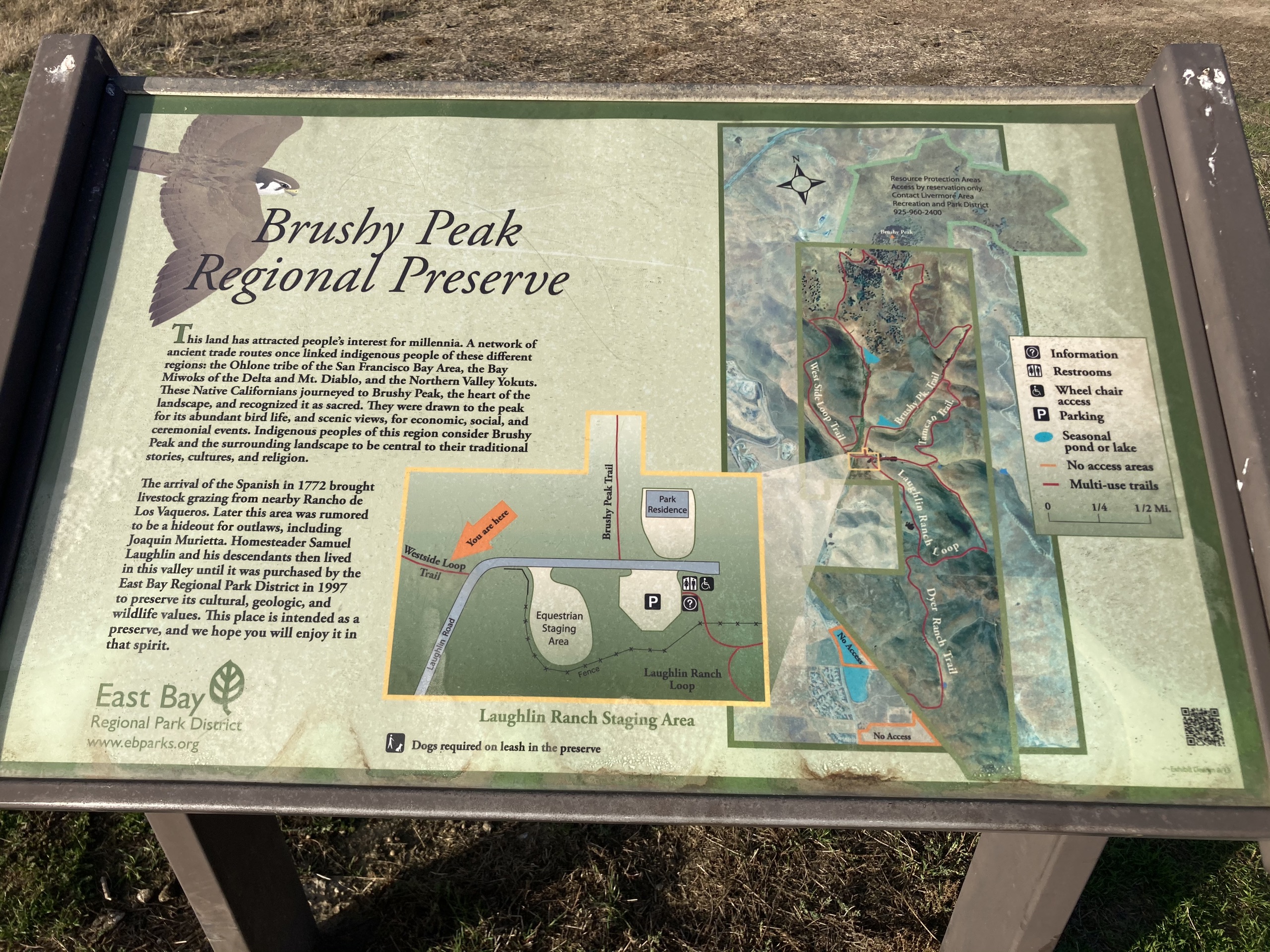 阿拉梅达娱乐-Brushy Peak Regional Preserve