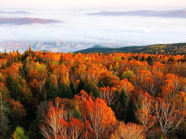 伊春看红叶什么时候最佳 马蜂窝