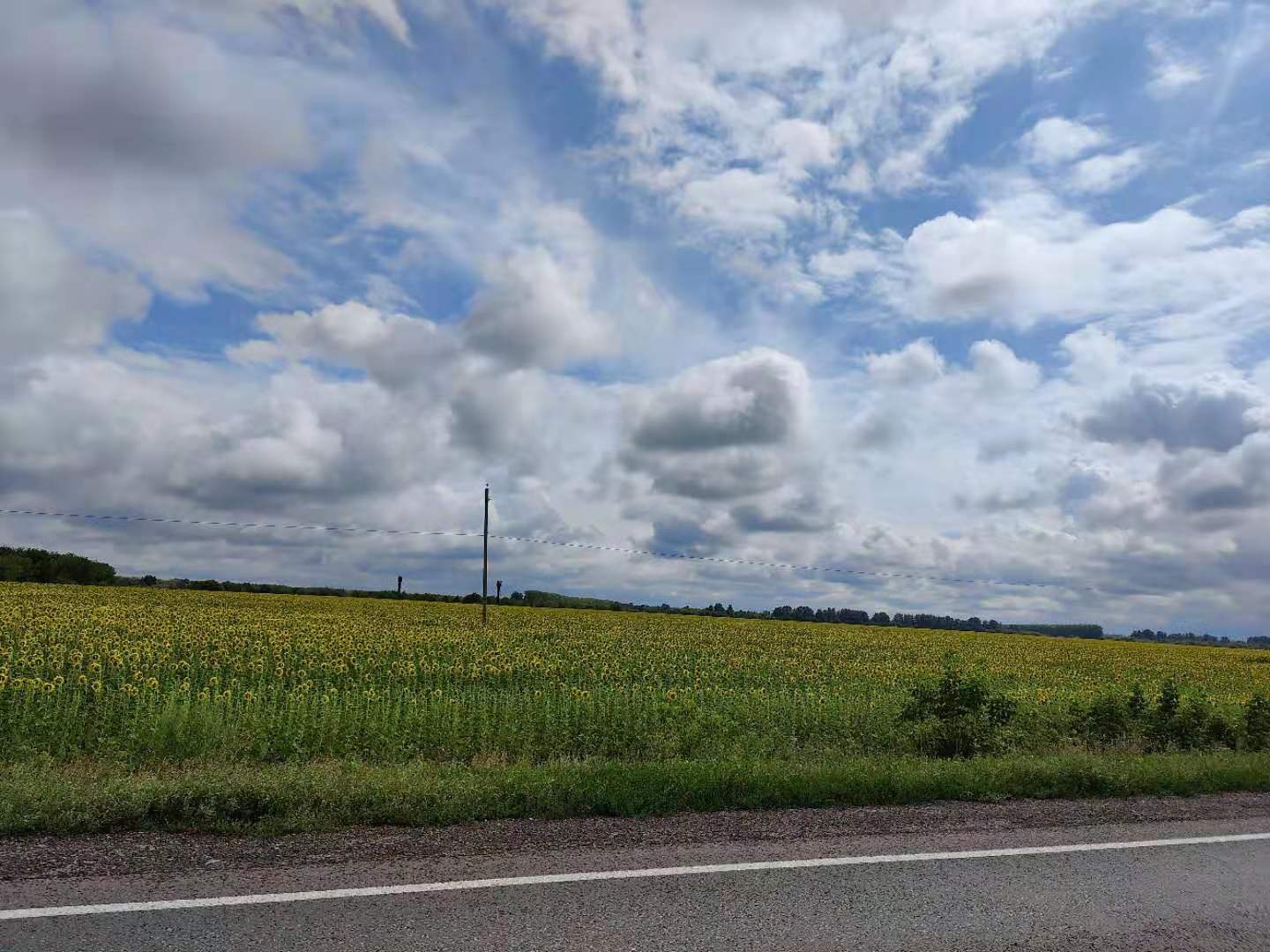 完美假期6之伏尔加保加利亚故都Болгар到列宁故乡Ульяно