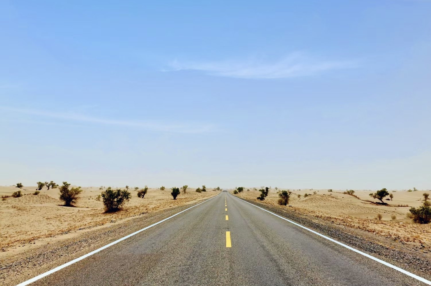 【轮台景点图片】塔克拉玛干沙漠公路