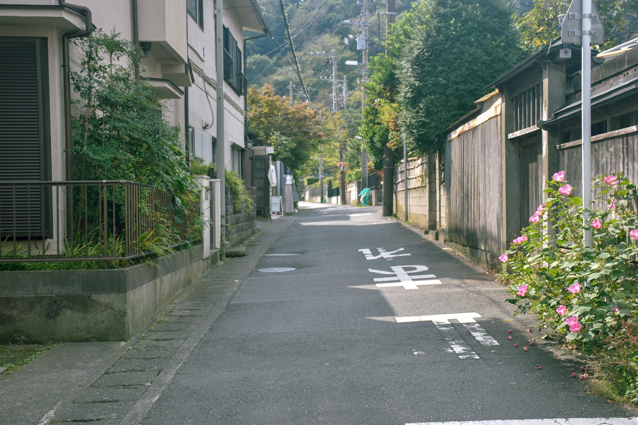 東京自助遊攻略