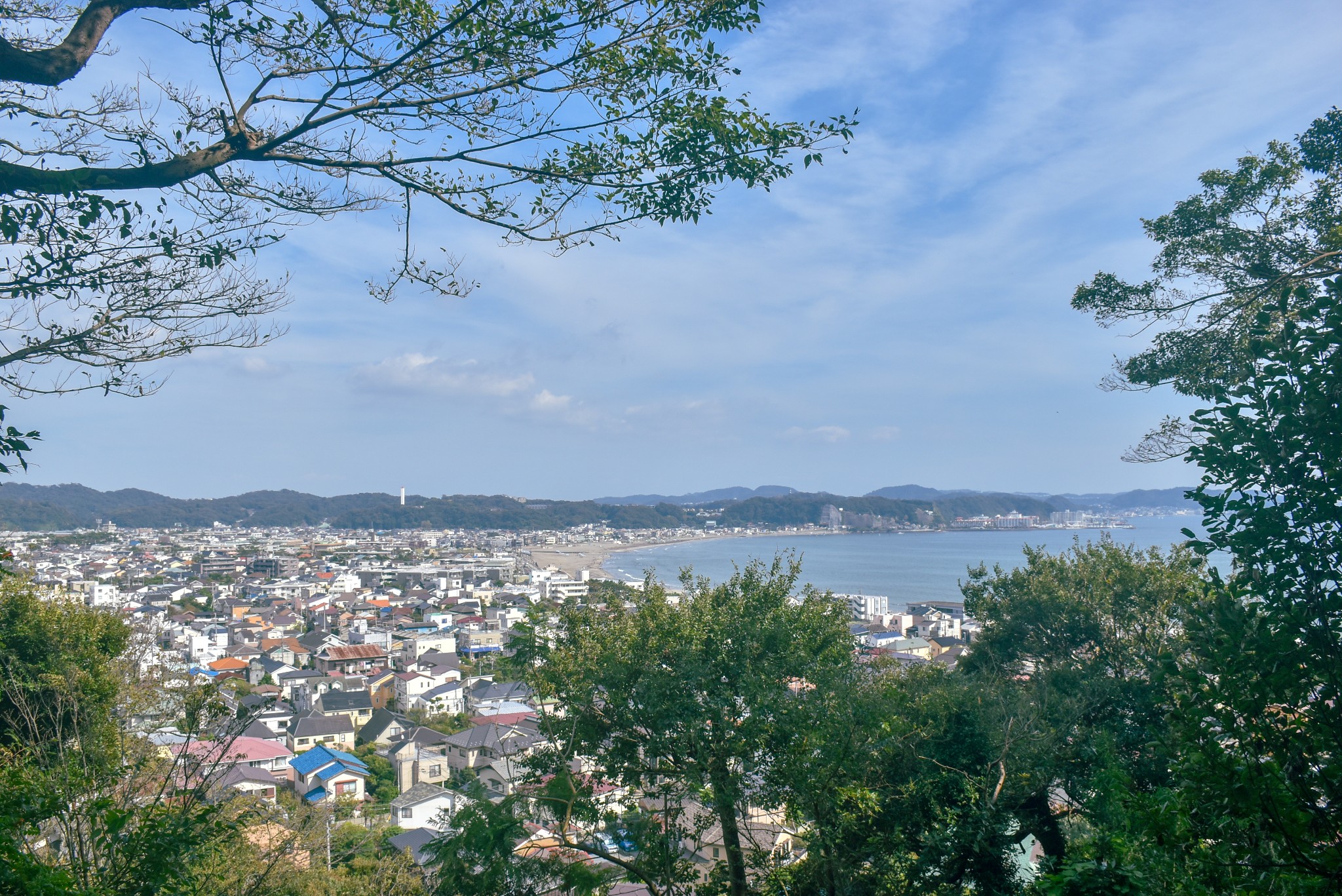 東京自助遊攻略