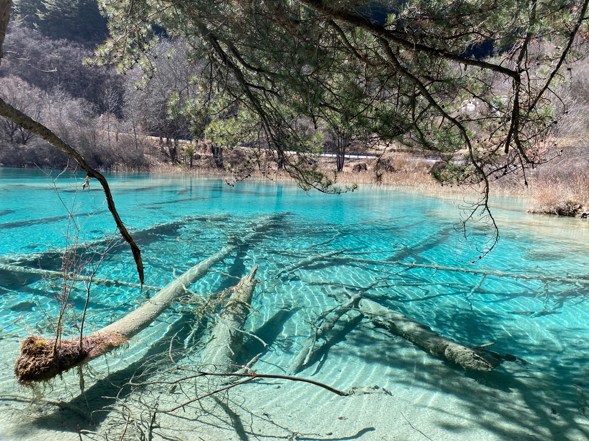 難忘九寨溝