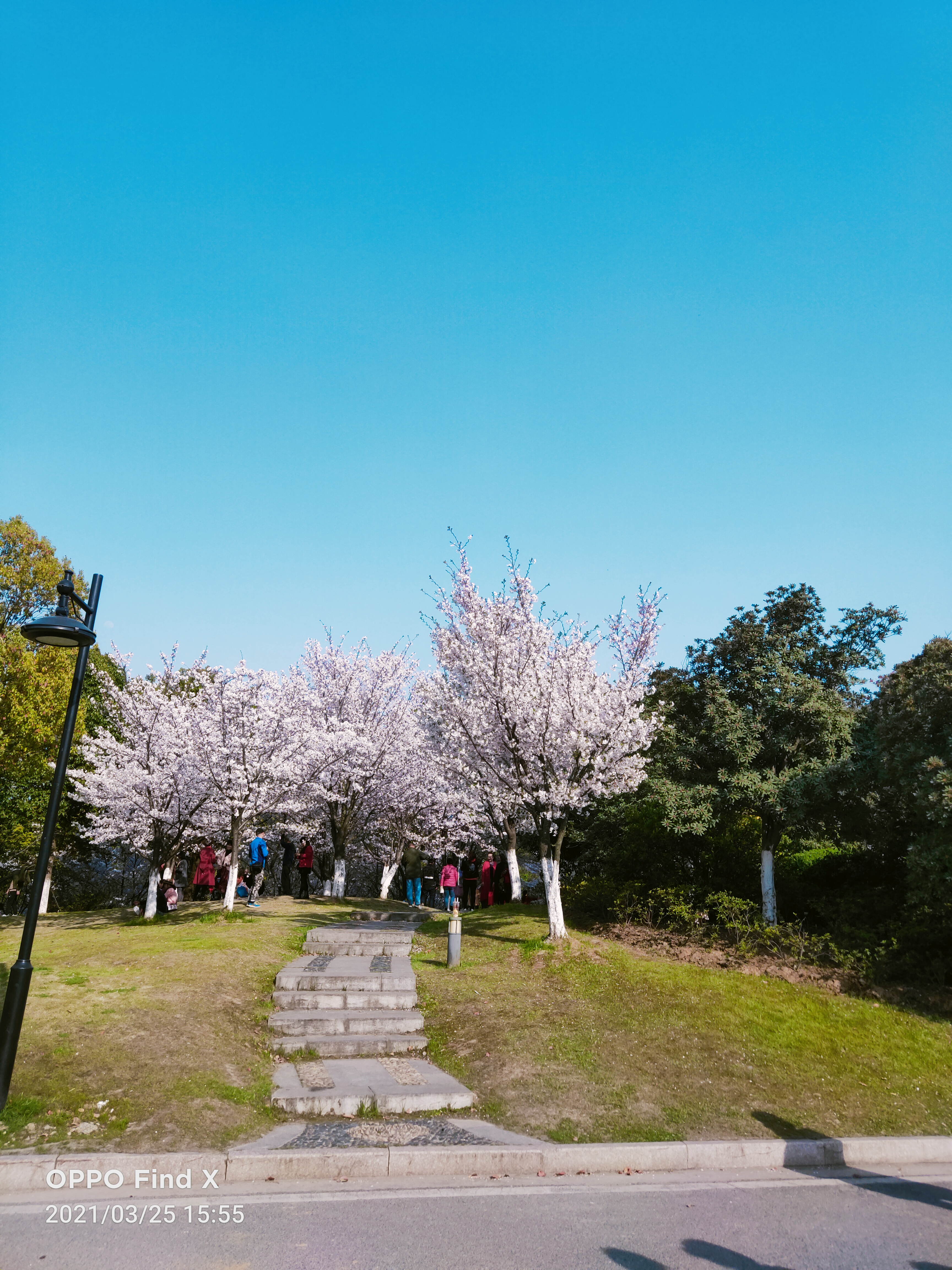 马鞍山市政公园