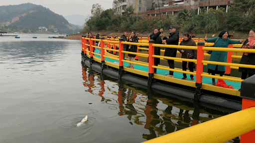 宝藏旅行地推荐!福建还有一个这么好玩的「渔乐小镇」