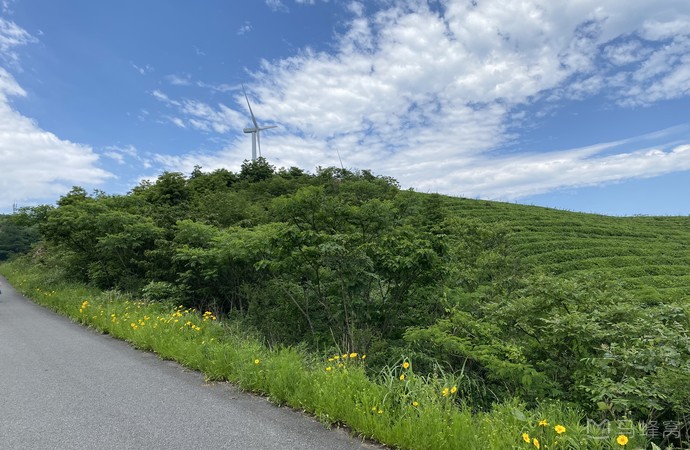 宁波白岩山风车公路旅游图片,宁波白岩山风车公路自助游图片,宁波白岩
