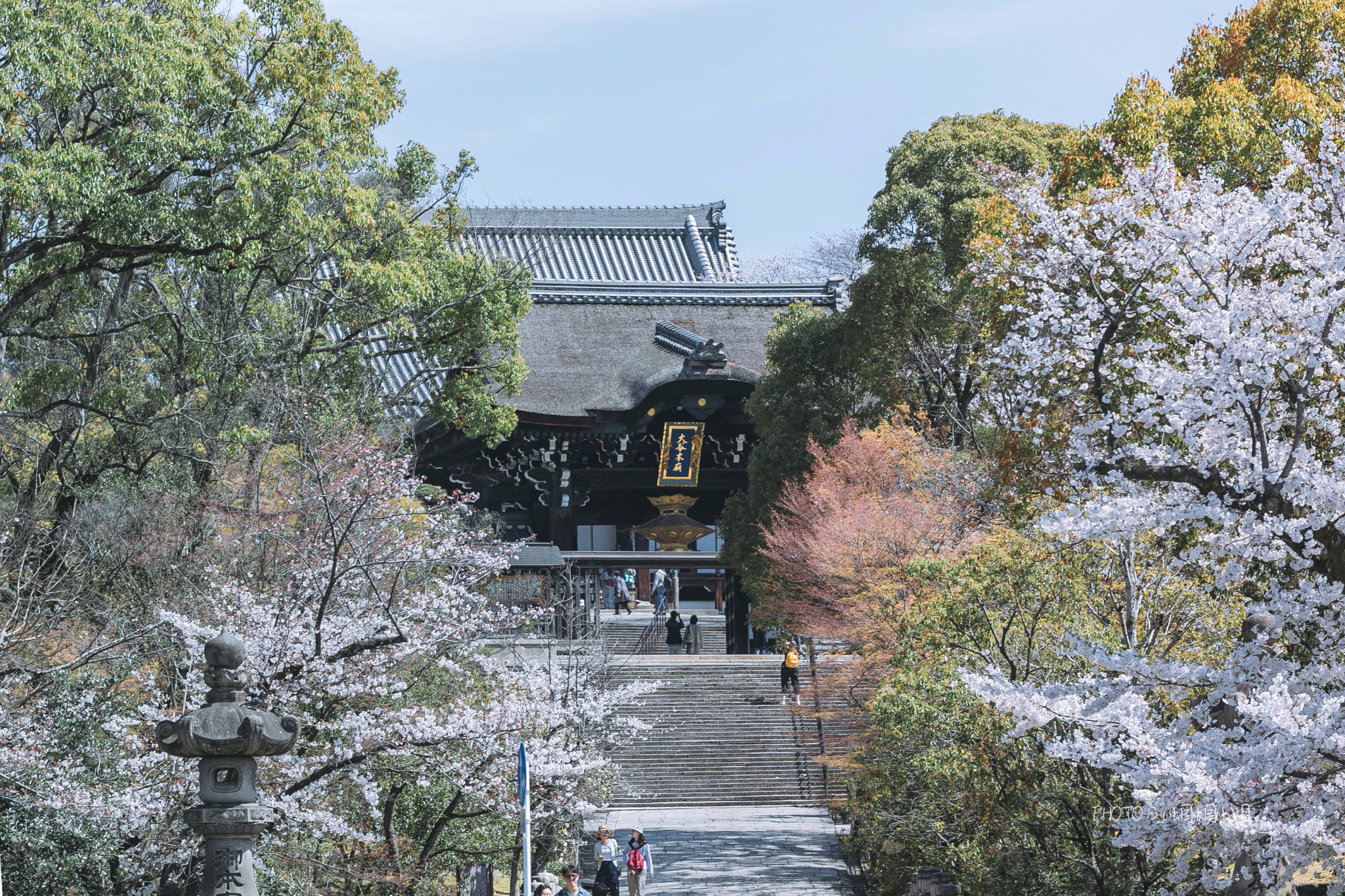 京都自助遊攻略