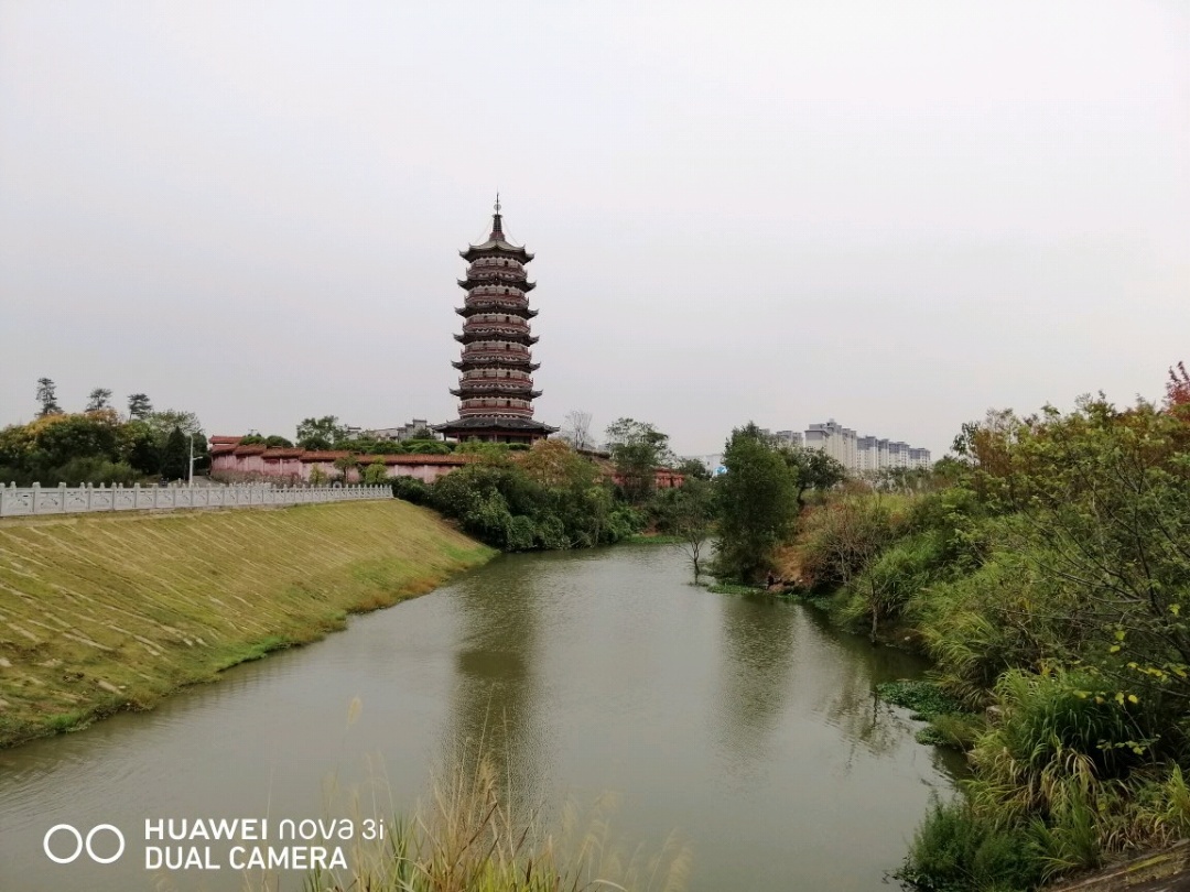 广昌荷源公园攻略,荷源公园门票_地址,荷源公园游览攻略 - 马蜂窝